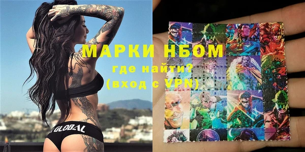 мдпв Карпинск
