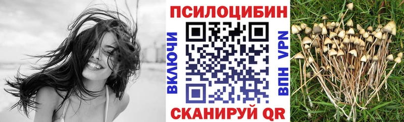 Галлюциногенные грибы Magic Shrooms  MEGA ссылки  Красновишерск 